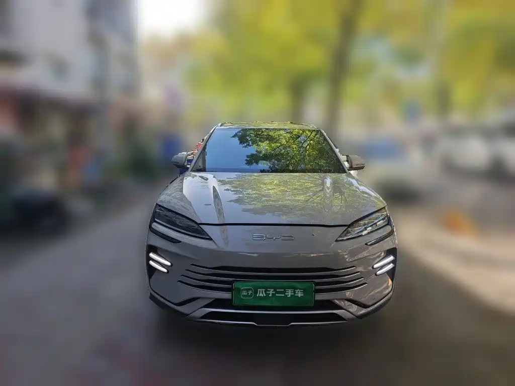 BYD PLUS New Energy — миниатюра 2