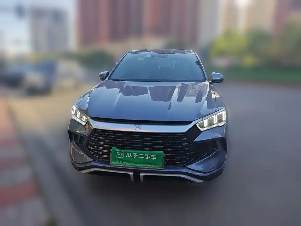 BYD Pro New Energy — миниатюра 2