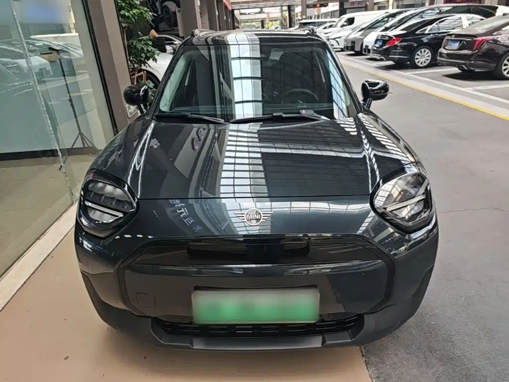 MINI MINI ACEMAN EV — миниатюра 3