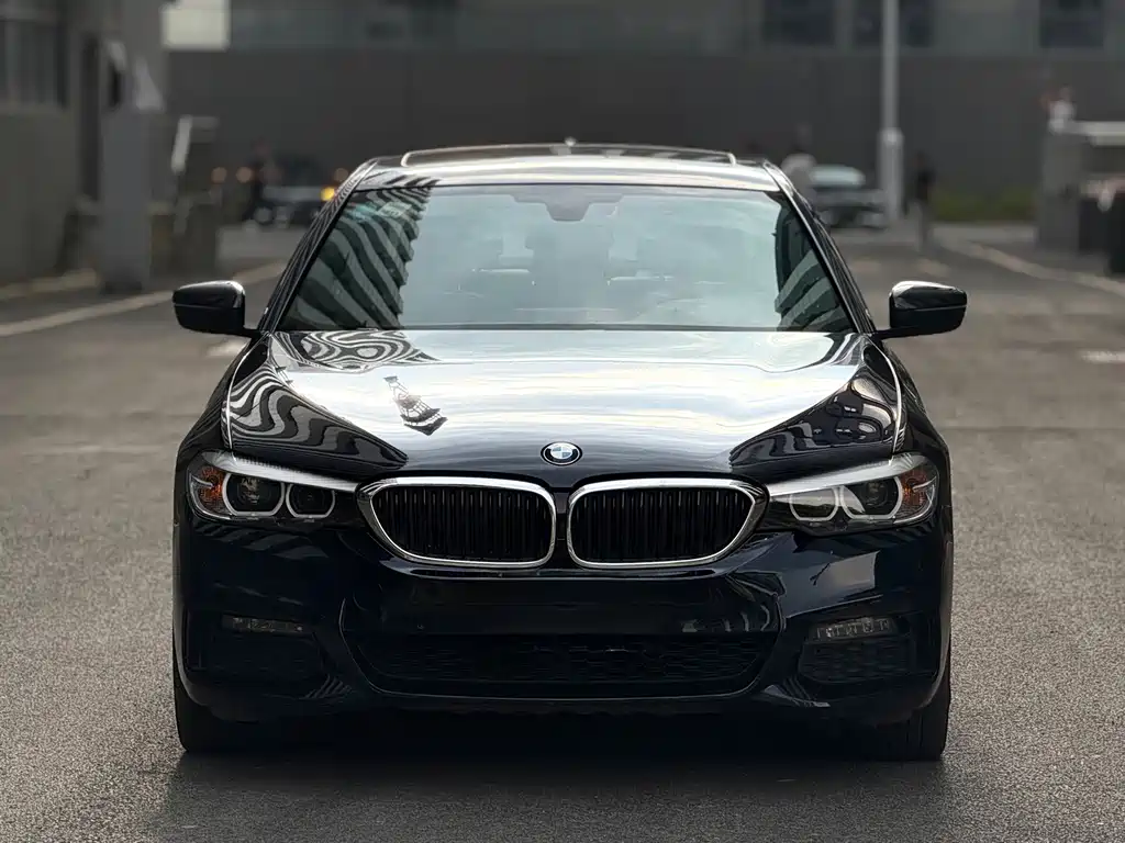 BMW 5 Series — миниатюра 2