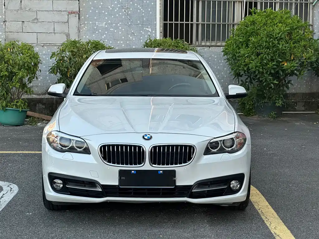 BMW 5 Series — миниатюра 2