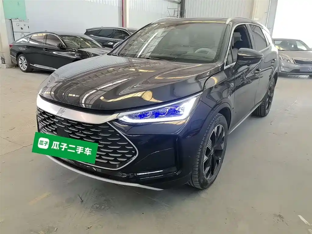 Byd Tang New Energy 2024