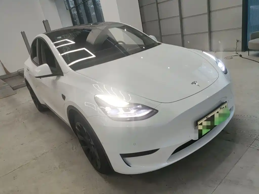 Tesla Model Y — миниатюра 3