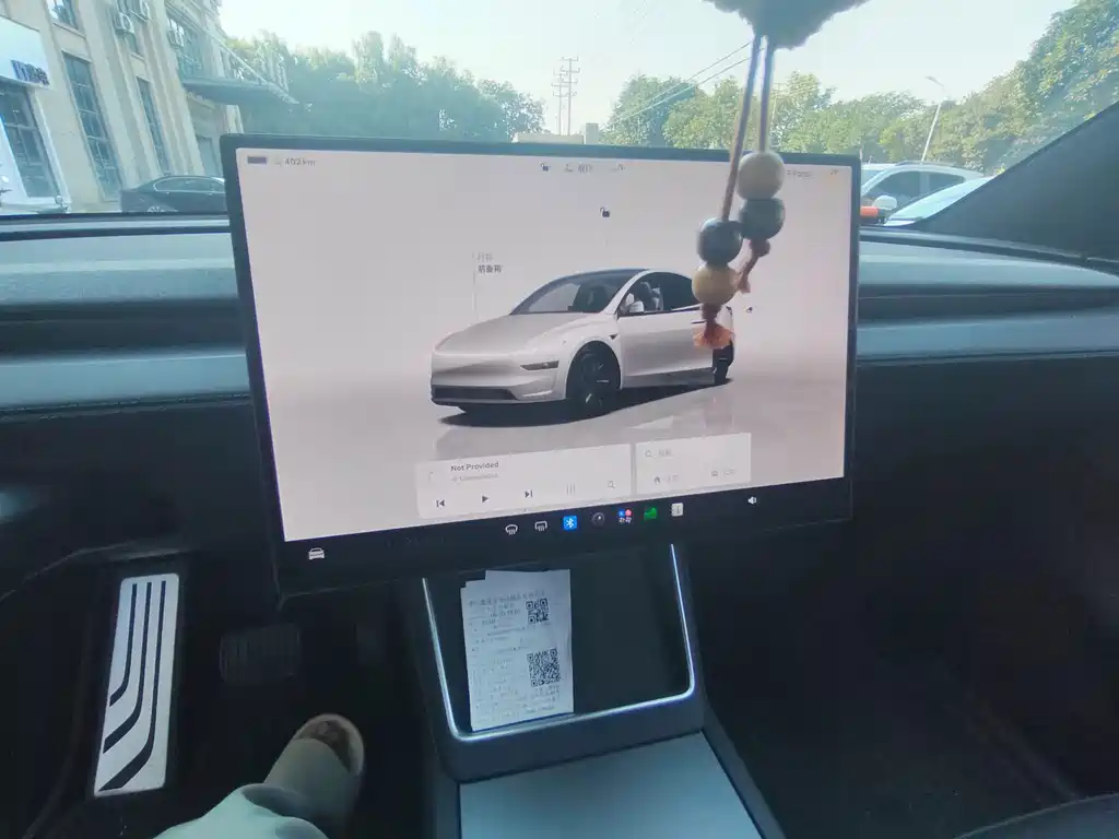 Tesla Model Y — миниатюра 7