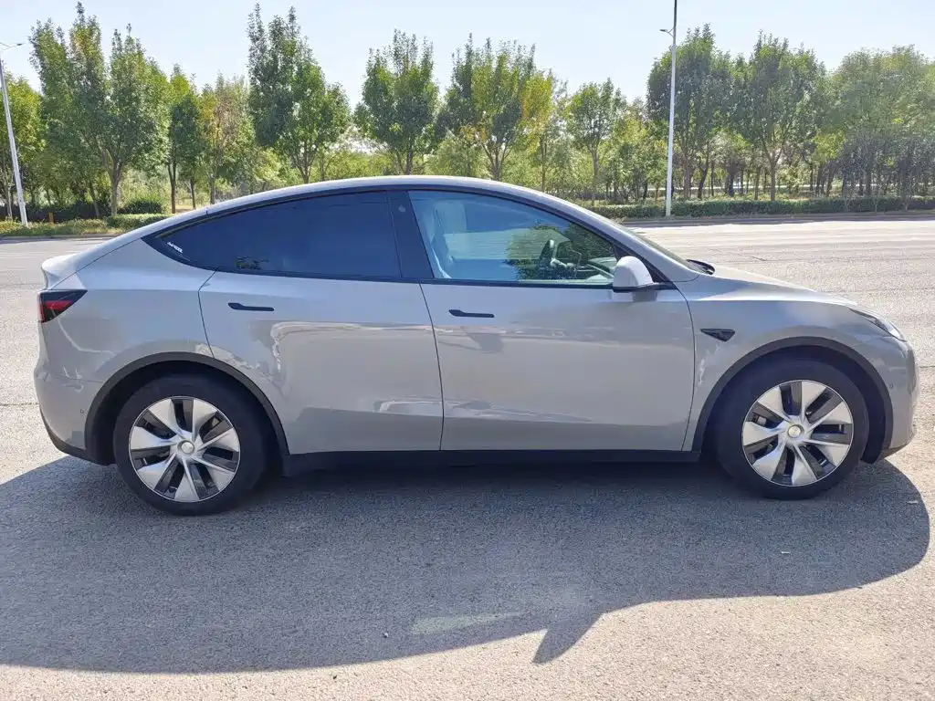 Tesla Model Y — миниатюра 4