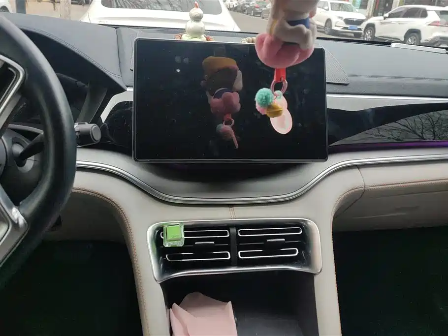 BYD SONGJIANG NEW ENERGY