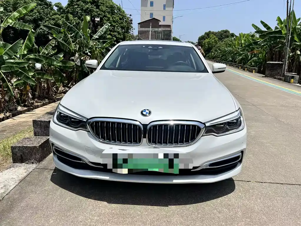 BMW 5 Series New Energy 2019