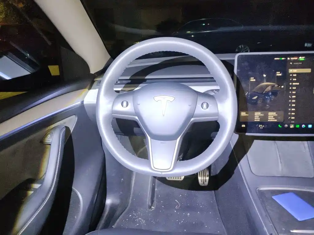 Tesla Model Y — миниатюра 6
