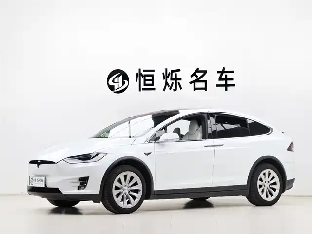 TESLA MODEL X 2017