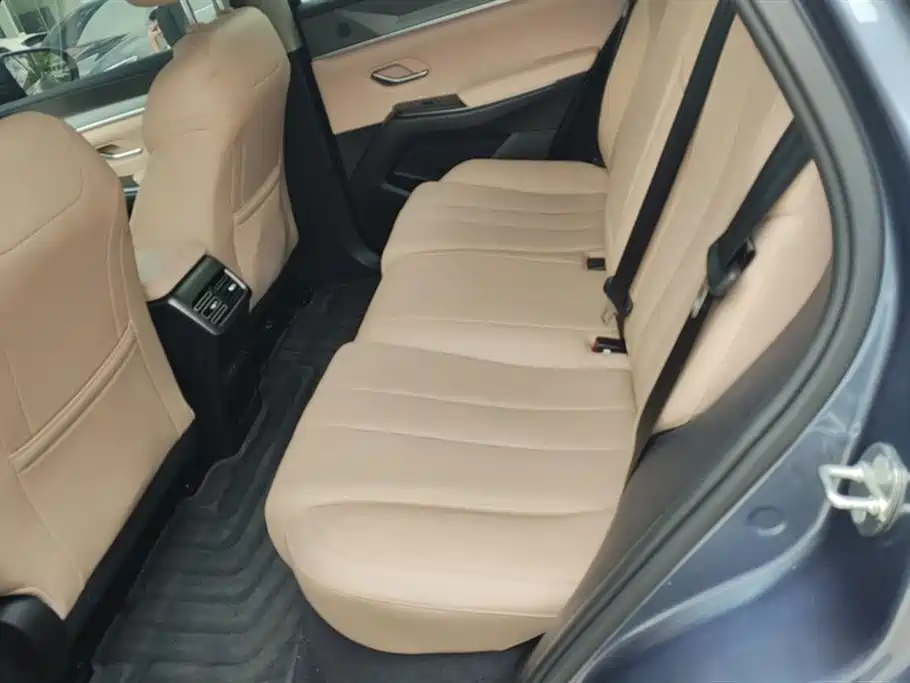 BYD SONGJIANG NEW ENERGY