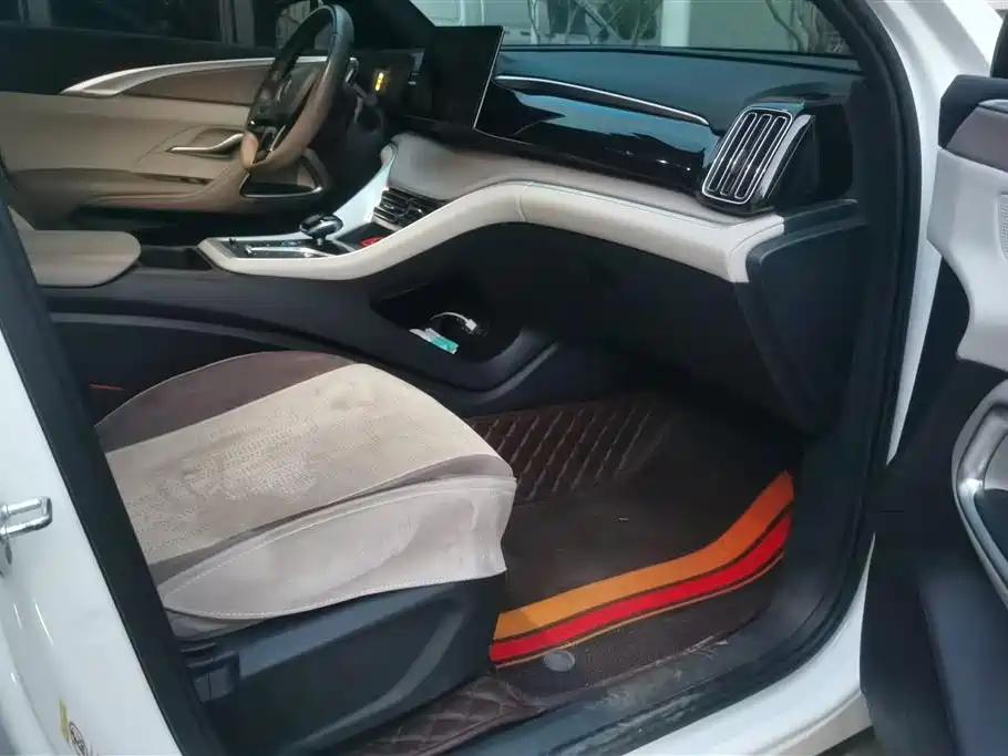 BYD SONGJIANG NEW ENERGY