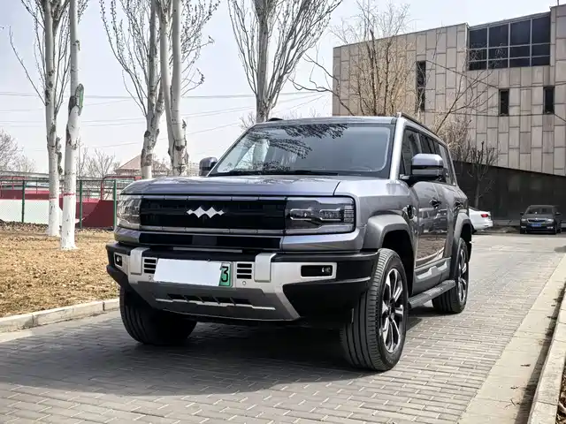 FANG CHENG BAO LEOPARD 5 2024