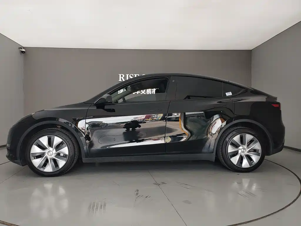 Tesla Model Y — миниатюра 8