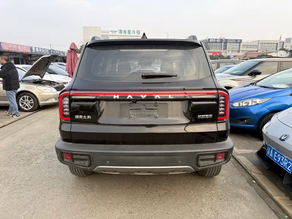 HAVAL BIG DOG