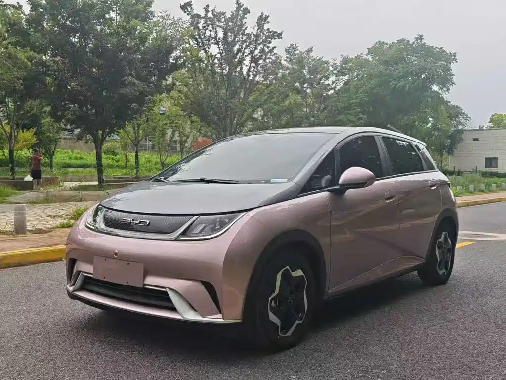 BYD Dolphin