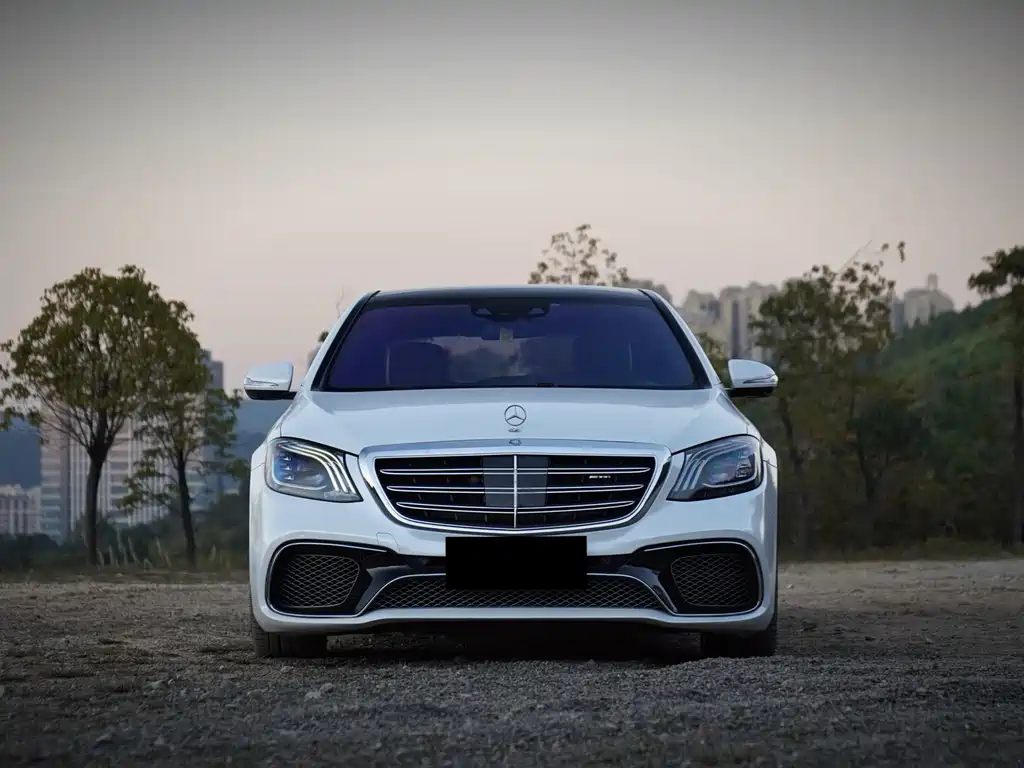 Mercedes-Benz S-Class A MG S AMG 2014 AMG S 65 L
