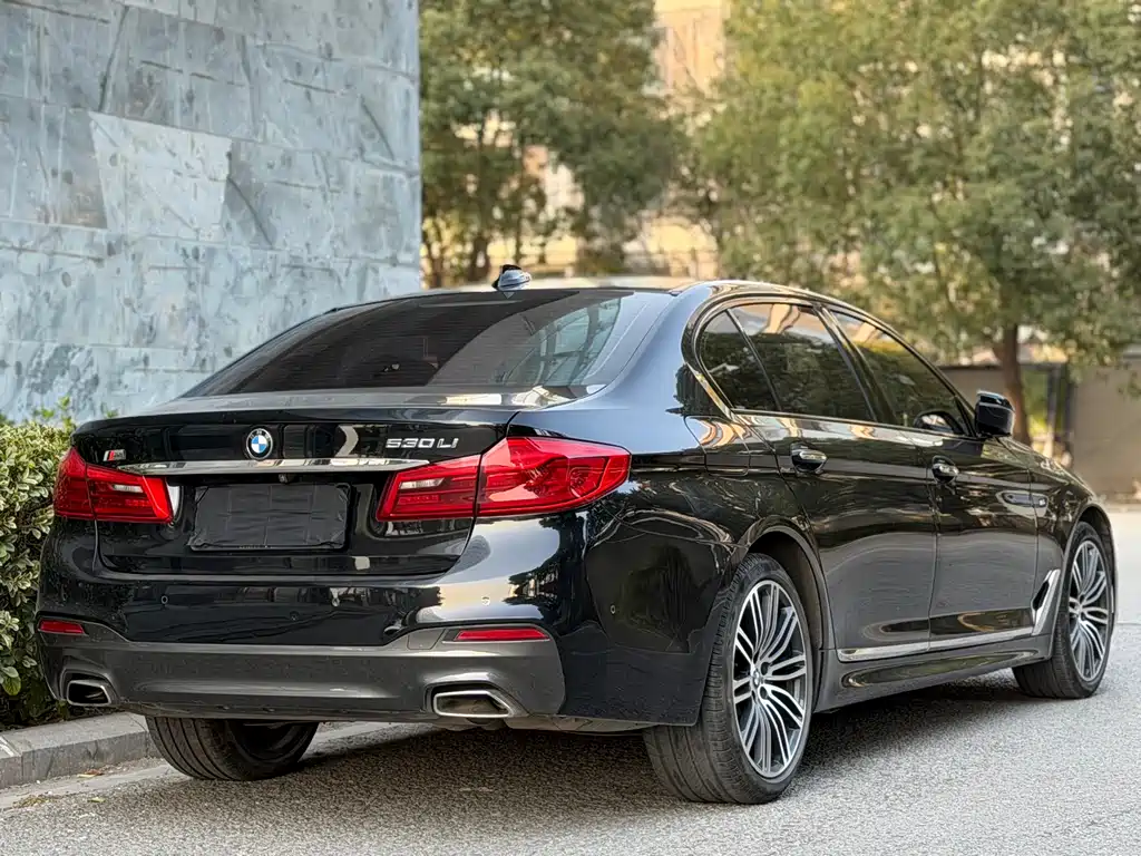BMW 5 SERIES