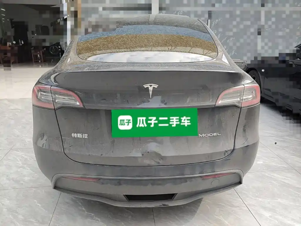 Tesla Model Y — миниатюра 6