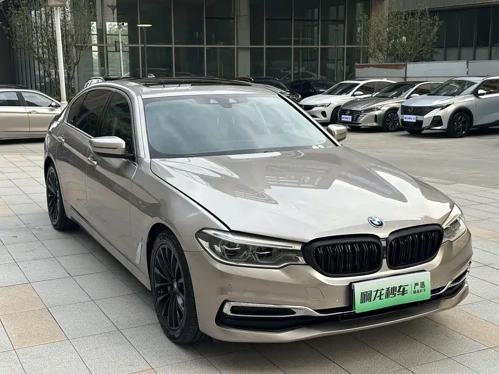 BMW 5 Series 5 2019 530Le Luxury