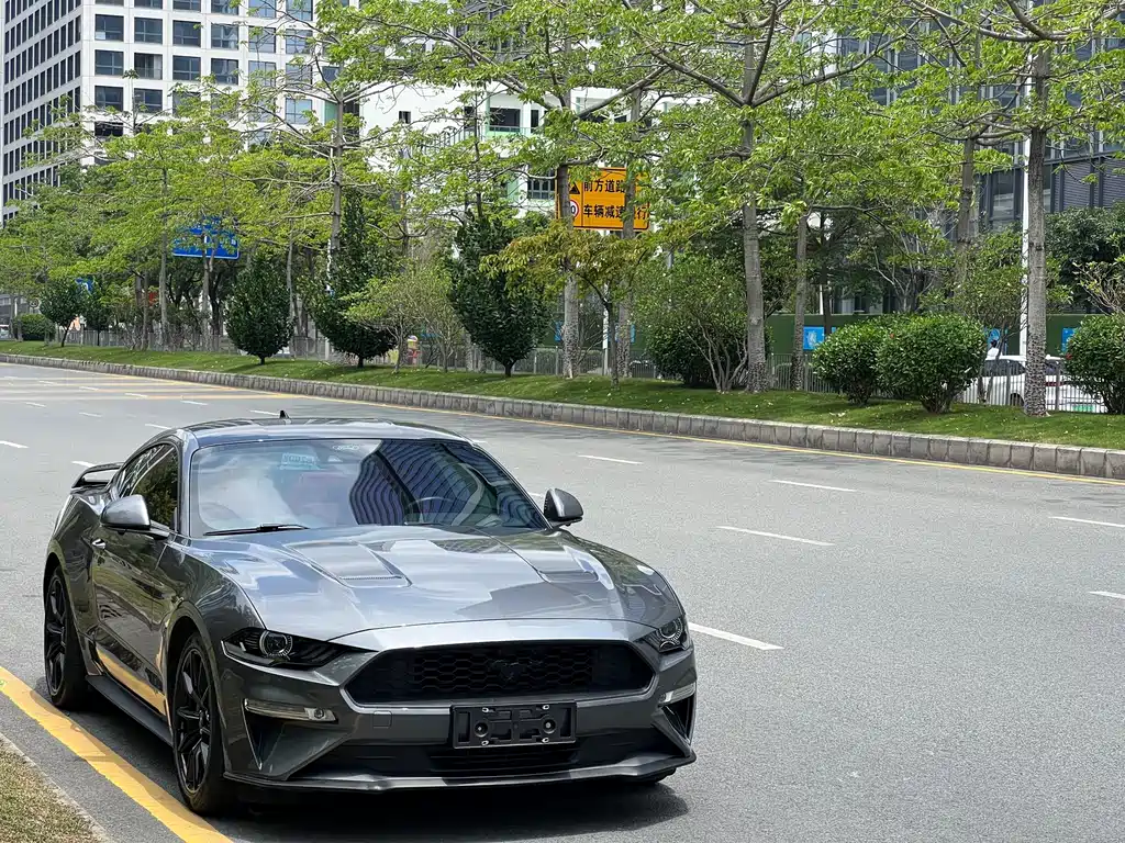 Ford Mustang — миниатюра 3