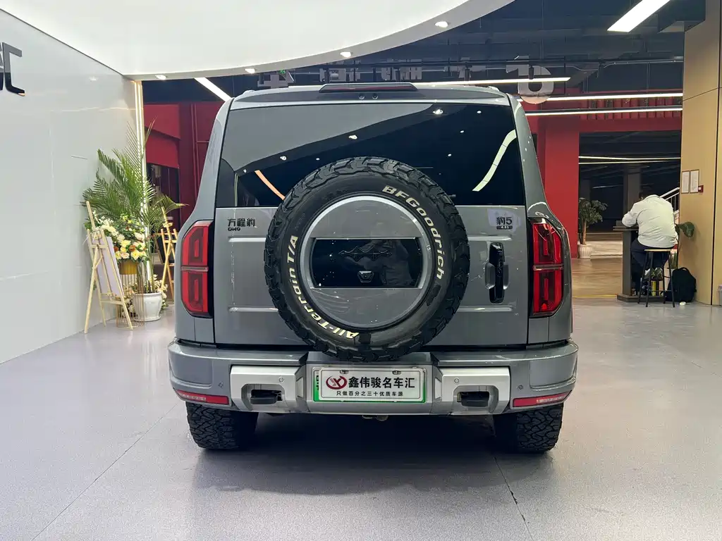 FANG CHENG BAO LEOPARD 5