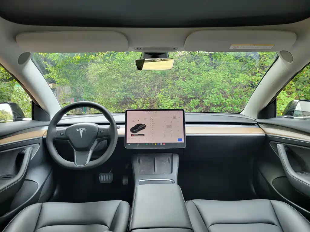 Tesla Model 3 — миниатюра 15