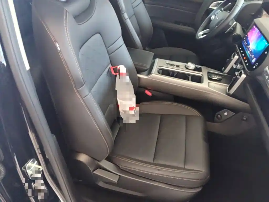 Haval Big Dog — миниатюра 25