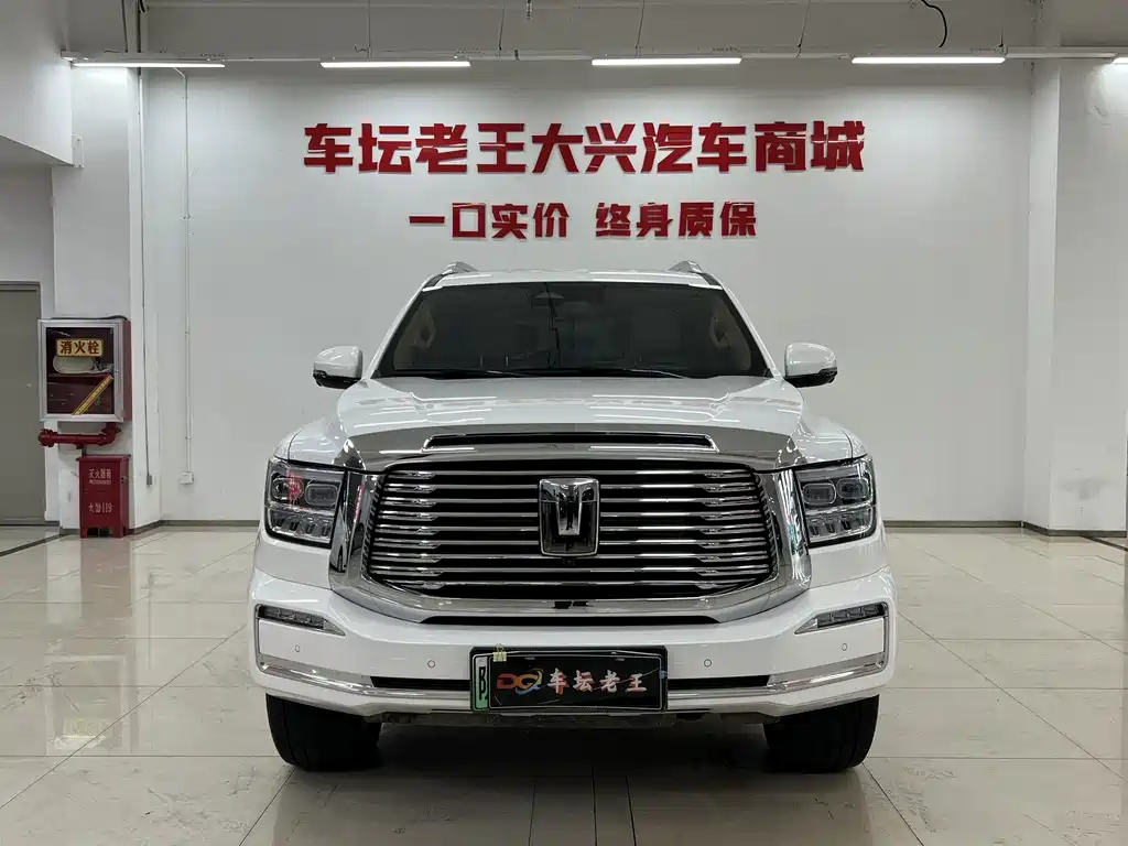 Tank 500 New Energy Hi4-T, фото 2