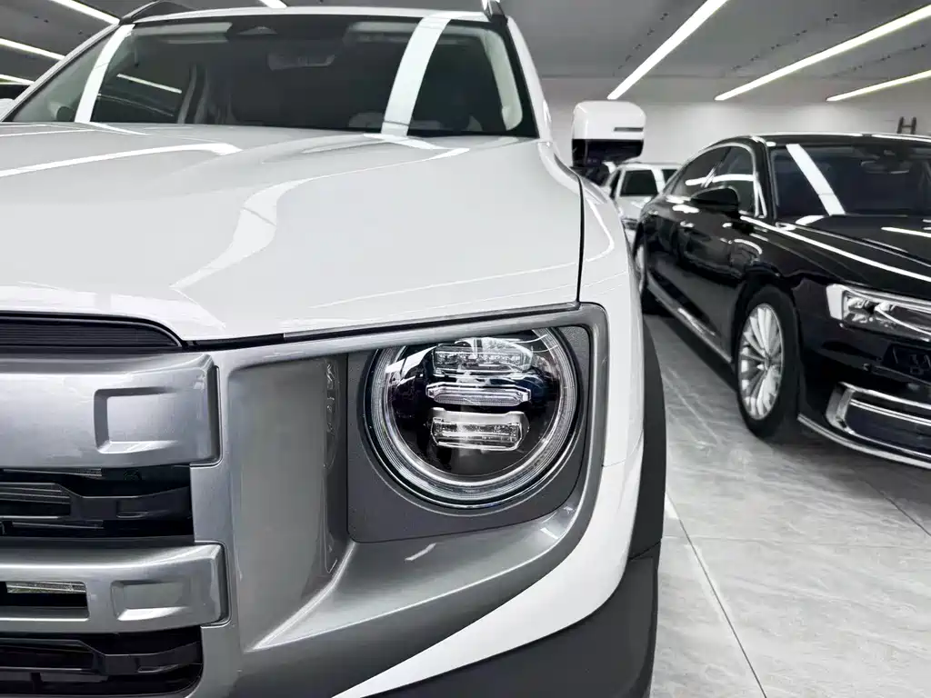 Haval Big Dog — миниатюра 25