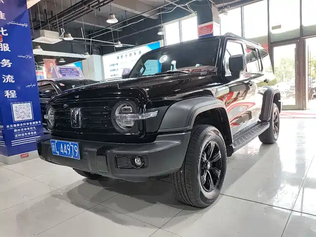 2025 TANK 300