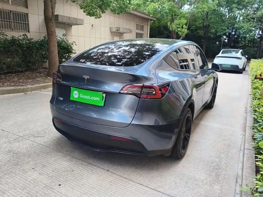Tesla Model Y — миниатюра 7