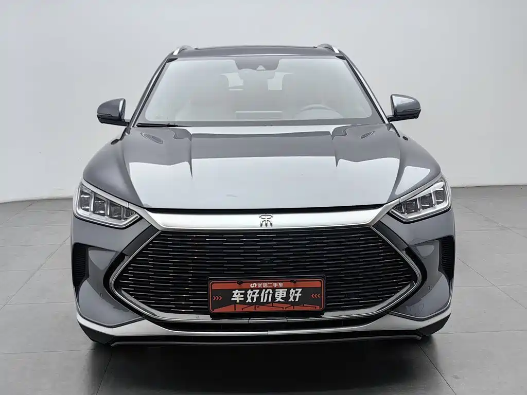 BYD PLUS New Energy — миниатюра 3