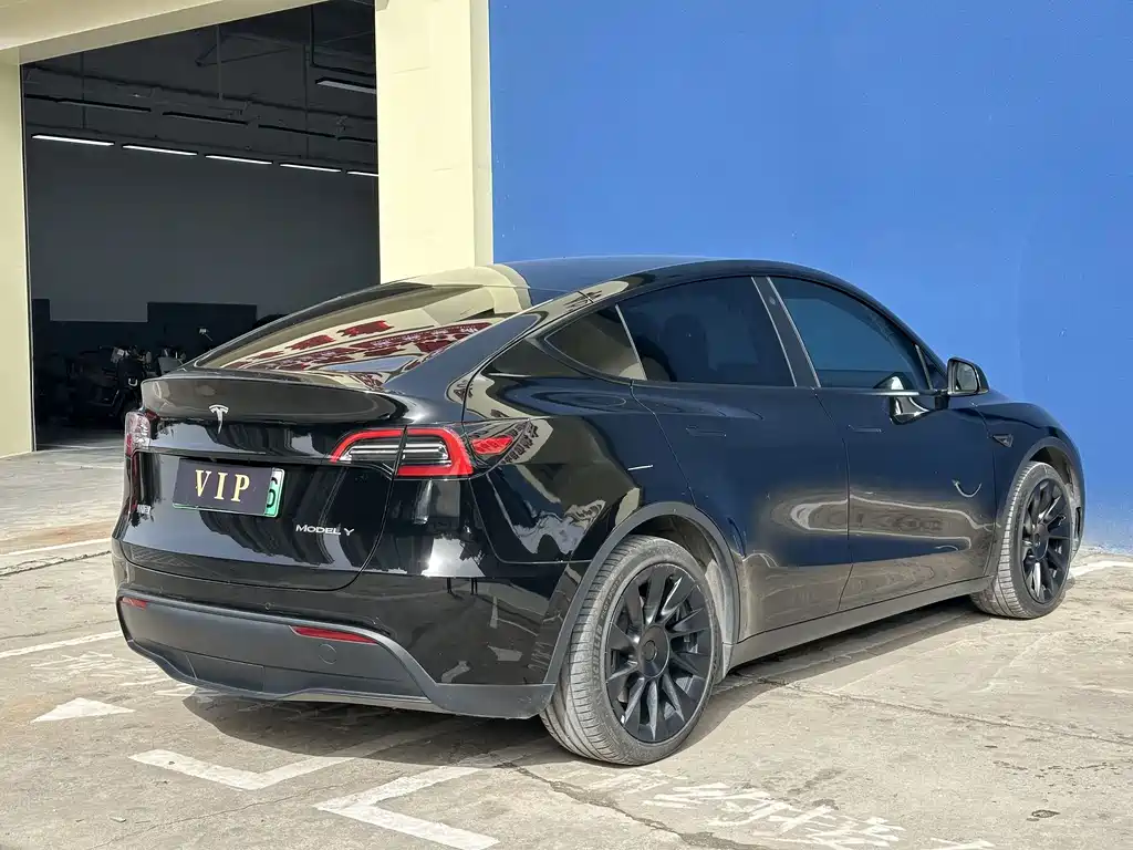 Tesla Model Y — миниатюра 9