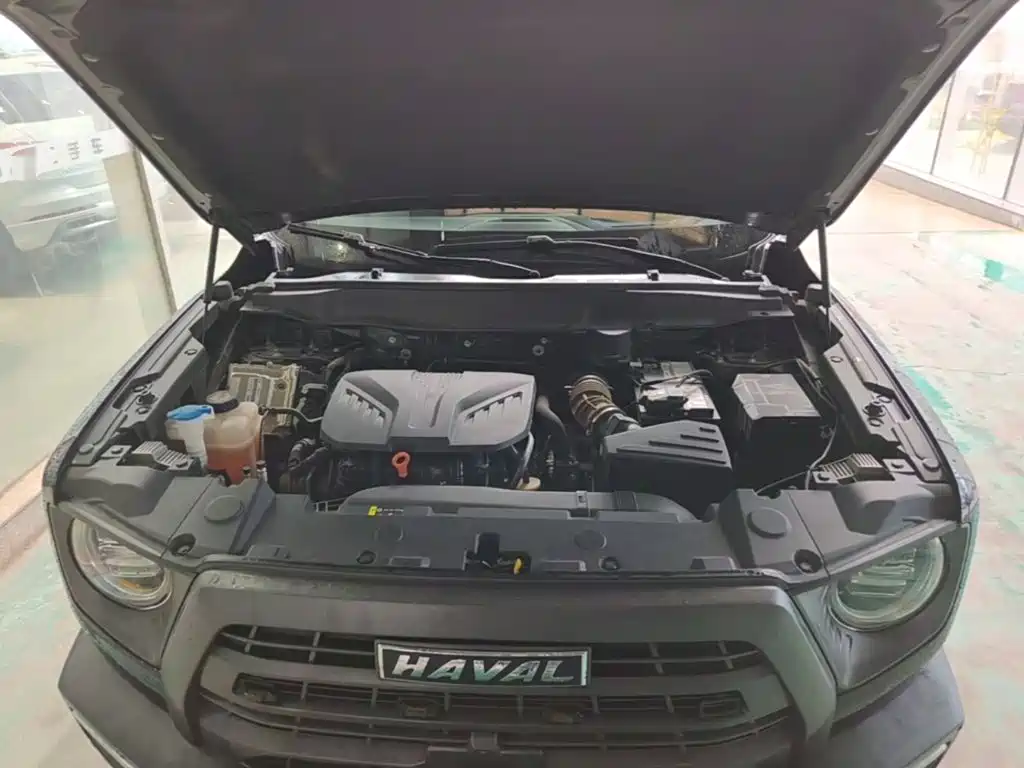 Haval Big Dog — миниатюра 20