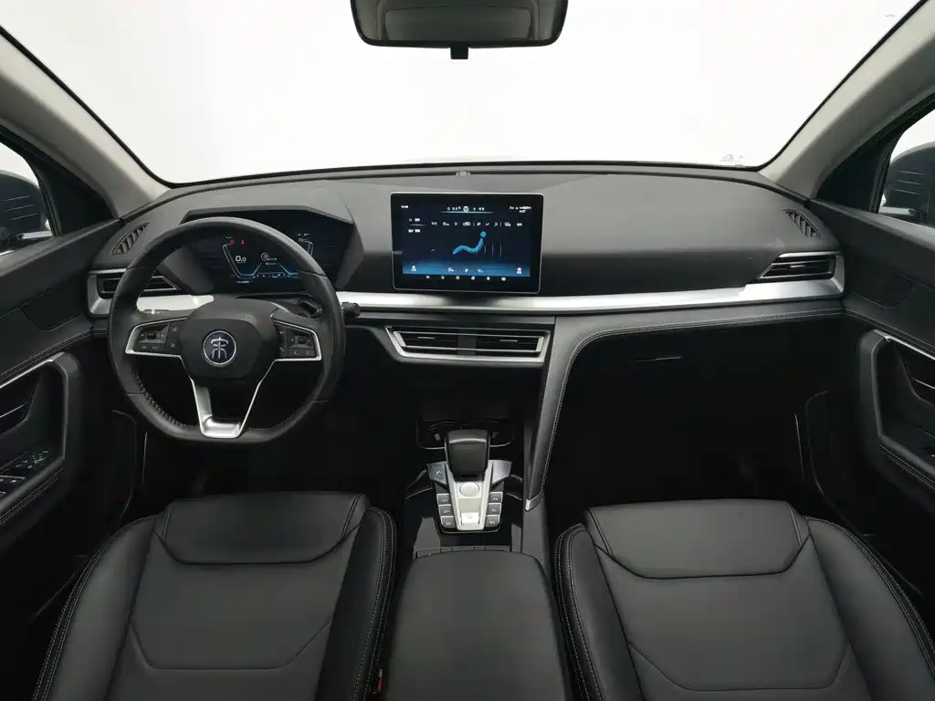 BYD Pro — миниатюра 5