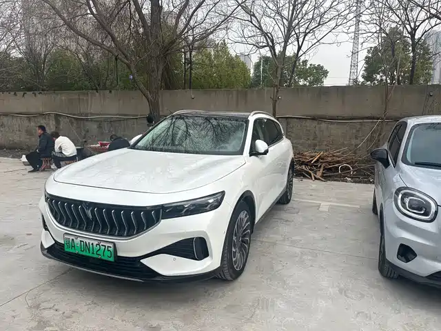 VOYAH LAN TU FREE 2021