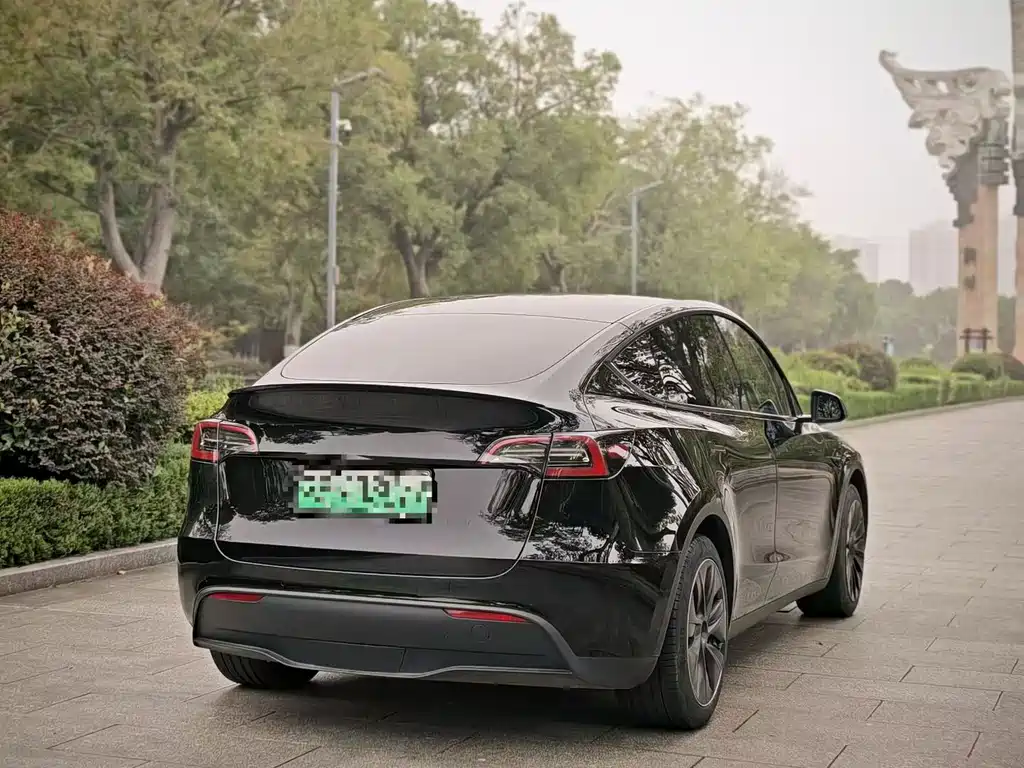 Tesla Model Y — фотографии объявления, Фото 8