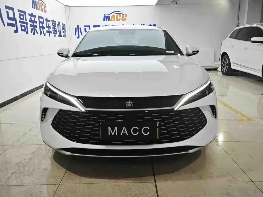 BYD QIN L