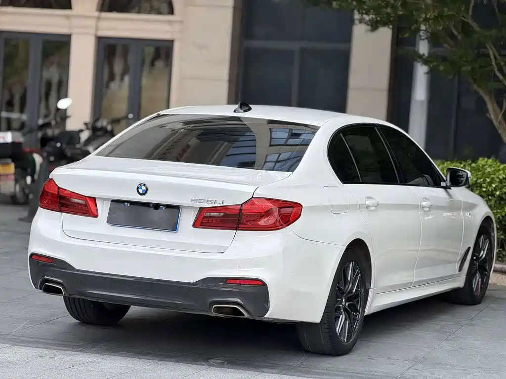 BMW 5 Series 5 2019 525Li M Sport