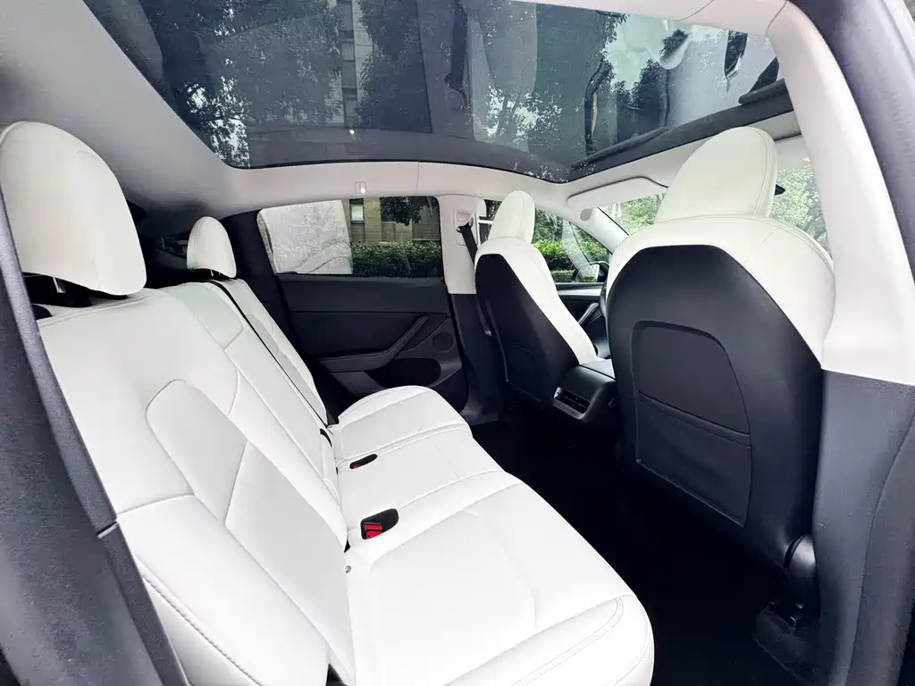 Tesla Model Y — миниатюра 15