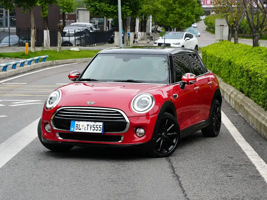 Mini Mini 2019