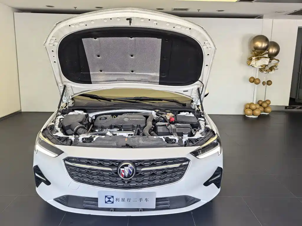 Buick Regal — миниатюра 6