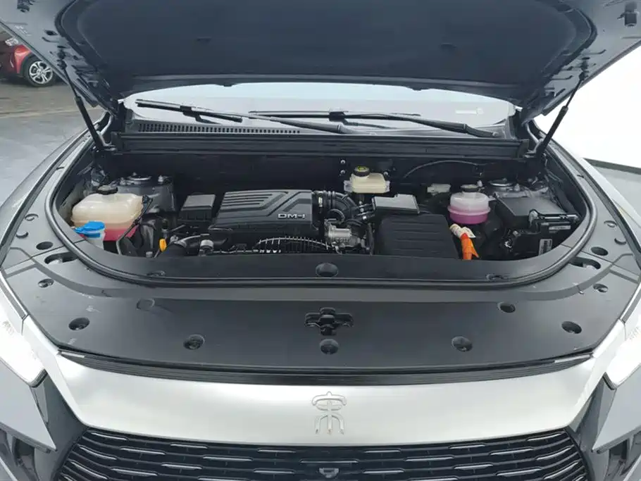 BYD SONGJIANG NEW ENERGY