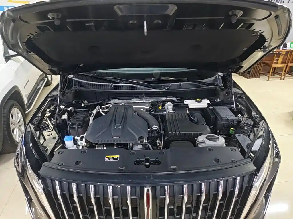Hongqi Hongqi HS7 PHEV — миниатюра 20