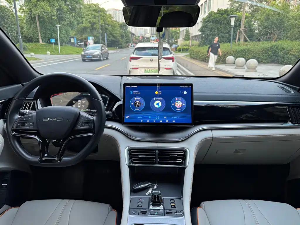 BYD PLUS New Energy — миниатюра 7