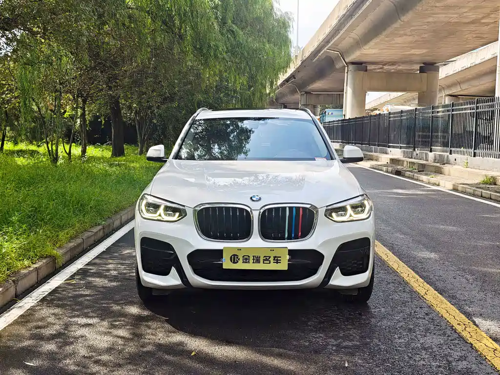 BMW X3 — миниатюра 2