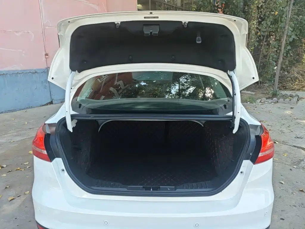 Ford Focus — миниатюра 19
