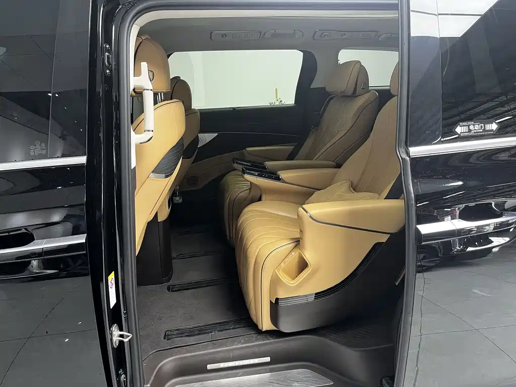 Denza Denza D9 — миниатюра 13