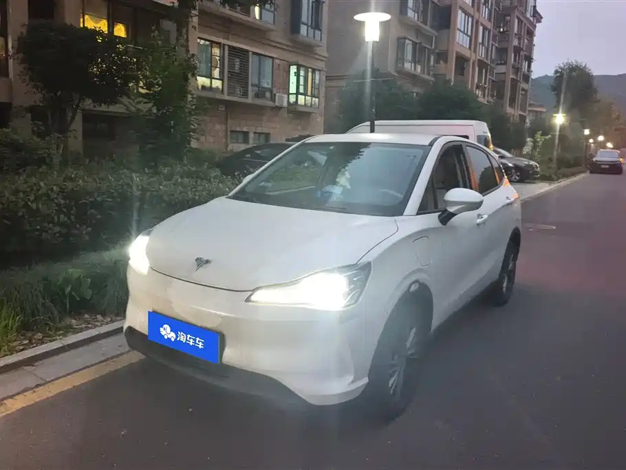 Neta Neta V 2021