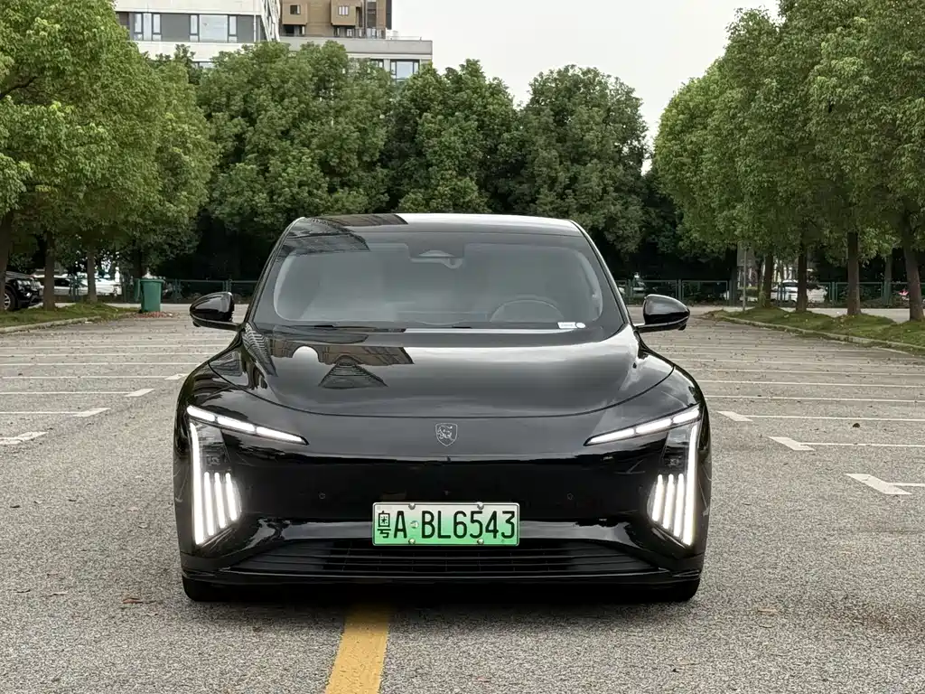 Fengxing Xinghai S7 — миниатюра 2